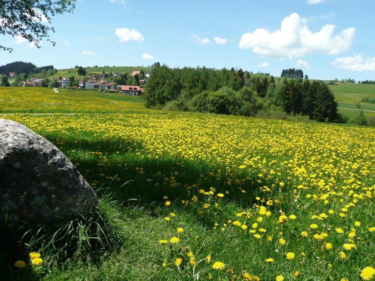 Bergkiefer - Ferienwohnung Oy-Mittelberg Luaran gambar